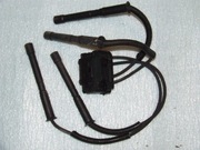 Cewka zapłonowa z przewodami. Clio 2.