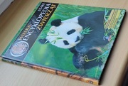 Wielka encyklopedia zwierząt SSAKI psowate niedźwiedziowate...