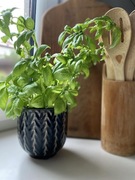 Czarna osłonka ceramiczna na doniczkę