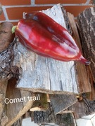 Papryka Comet trail   kolekcjonerska