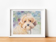 Portret psa Maltipoo A3 Akwarela