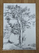 Rysunek odręczny ołówkiem 