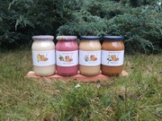 Miód Gryczany  Wielokwiatowy Rzepakowy Malinowy Zestaw 2025 r