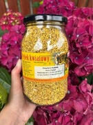 Pyłek pszczeli 600g 2025r kwiatowy Pasieka u Robaka polski superfood