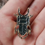 Broszka, pin, żuk, chrabąszcz, owad