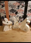 Króliki króliczki zając zające Wielkanoc HappyEaster Easter wiosna królik