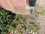 Brązowa szyba-prawe drzwi Golf mk1 3d