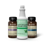 Zestaw Życia NSP Nature's Sunshine