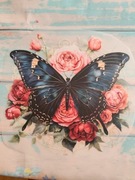 Duża Termo naprasowanka czarny motyl w różach