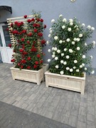 Donica ogrodowa z pergolą 