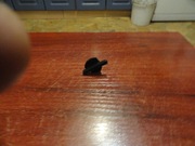 hilti te700 te706 avr te 700 706  mimośród przełącznik  trybu pracy 345072