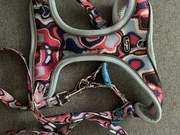 Wygodne oddychające i regulowane szelki  (klatka 44-55cm) ze smyczą