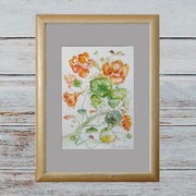 Kwiaty Nasturcji - Akwarela 