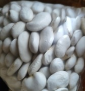 Fasola Jaś sucha 2025r