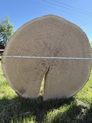 Plaster drewna duży 