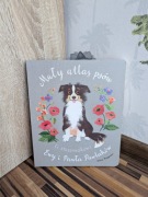 My atlas psów i psiaków Ewy i Pawła Pawlaków książka o psach dla 