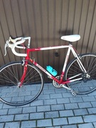 Rower Giant Peleton Superlite