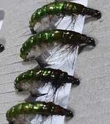 Sztuczne muchy, nimfy larwy