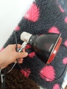 Lampa oprawka klips klosz e27 do lampy grzewczej