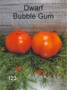 123-Dwarf Bubble Gum. Pomidory kolekcjonerskie.