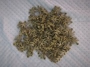 lego 2423 liście olive green, 100szt