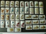 HAITI - PTAKI - SERIA 39 sztuk