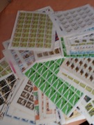 ptaki, zwierzęta, igrzyska olimpijskie, sport, szachy,