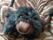 czapka zimowa uszatka byczek rozmiar L