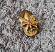 Przypinka - USCG Auxiliary - District Staff Officer (DSO) OF-3