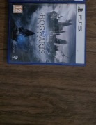 Dziedzictwo Hogwartu PlayStation 5 (PS5) pudełkowa