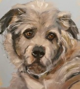Portret olejny psa 