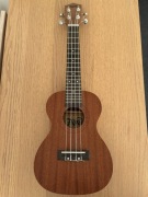 Ukulele Flycat koncertowe