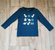 Cool Club, bluzka z długim rękawem, dinozaury, r. 116