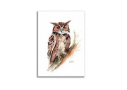 Obraz ręcznie malowany Sowa +rama