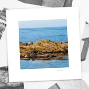 Autorska fotografia "Bornholm I" - wydruk. 