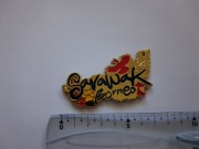 Magnes na lodówkę - 453g. SARAWAK BORNEO Metalowa mapa