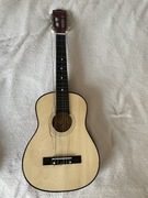 Gitara burswood sound start series