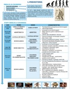 Notatki Maturalne z historii