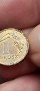 1 grosz 2019 destrukt