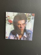 Magnes 3d Nick cave and the bad seeds 