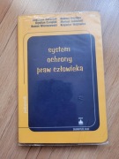 System ochrony praw człowieka
