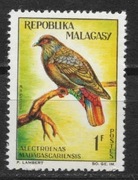 Madagaskar ptaki