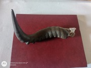 Obcinarka do cygar Decora Solingen D.B.G.M