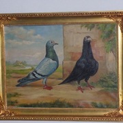 Obraz -   pt.  " Para gołębi  "