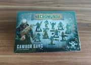 Cawdor Gang / Warhammer Necromunda