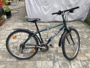 Rower górski GIANT Iguana