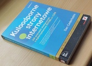 Kuloodporne strony internetowe wydanie II - Dan Cederholm