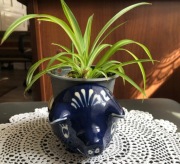 Osłonka na kwiatki-roślinki świnka ceramiczna