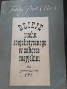 Dzieje ruchu socjalistycznego w zaborze rosyjskim F Perl