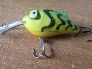 Salmo Poland Boxer 7